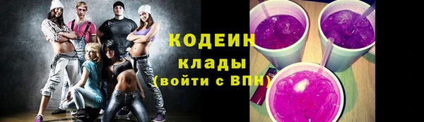 дмт Богданович