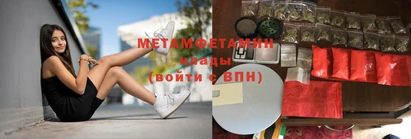дмт Богданович