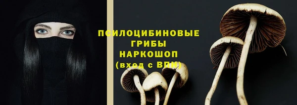 винт Верхний Тагил