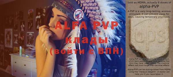 дмт Богданович
