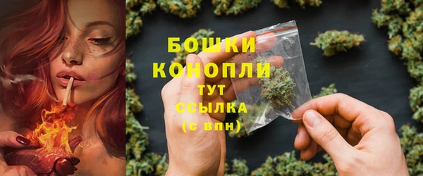 дмт Богданович